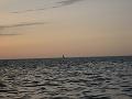 IMG_0394